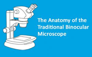 The-Anatomy-of-a-Microscope398x250-300x188