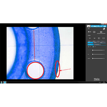 vision-product-slider
