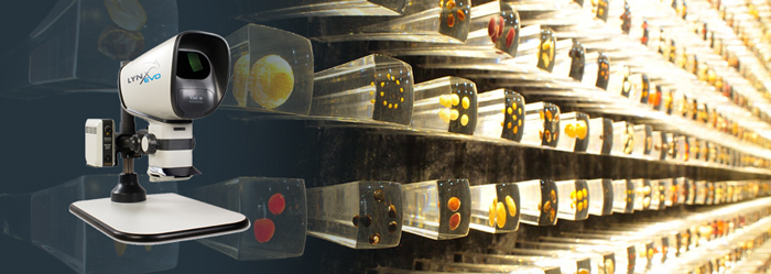 seed_bank_banner_700