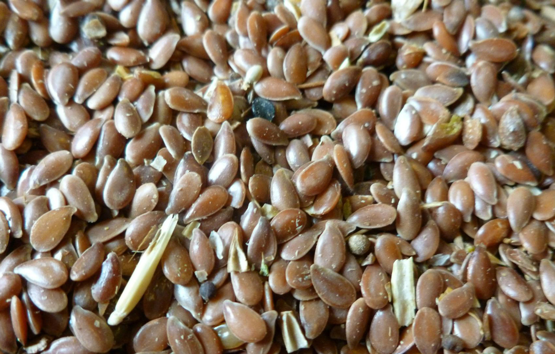 plant-seed-purity_1080x690